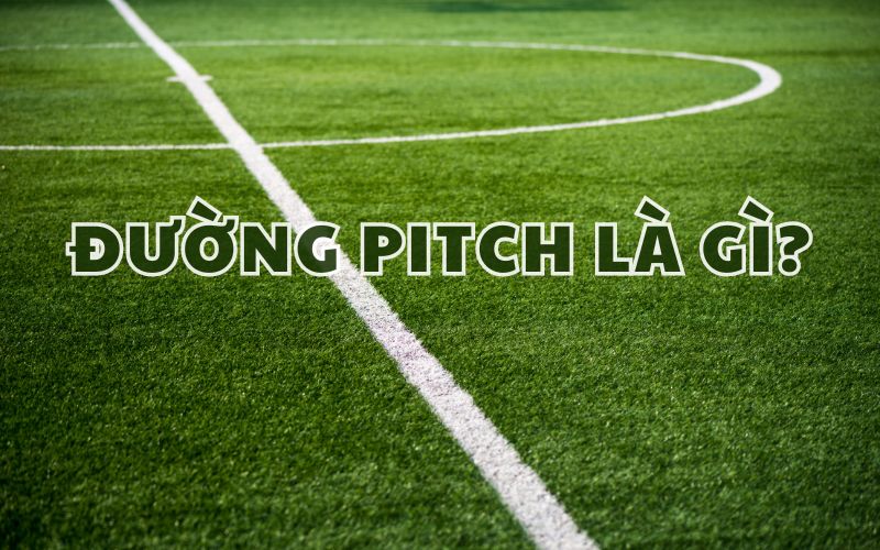 Đường pitch là gì?