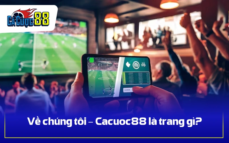 Về chúng tôi – Cacuoc88 là trang gì?