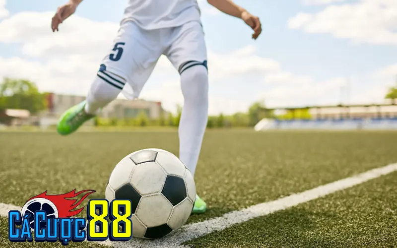 Tip nội gián là gì? Khái niệm và cách hiểu phổ biến